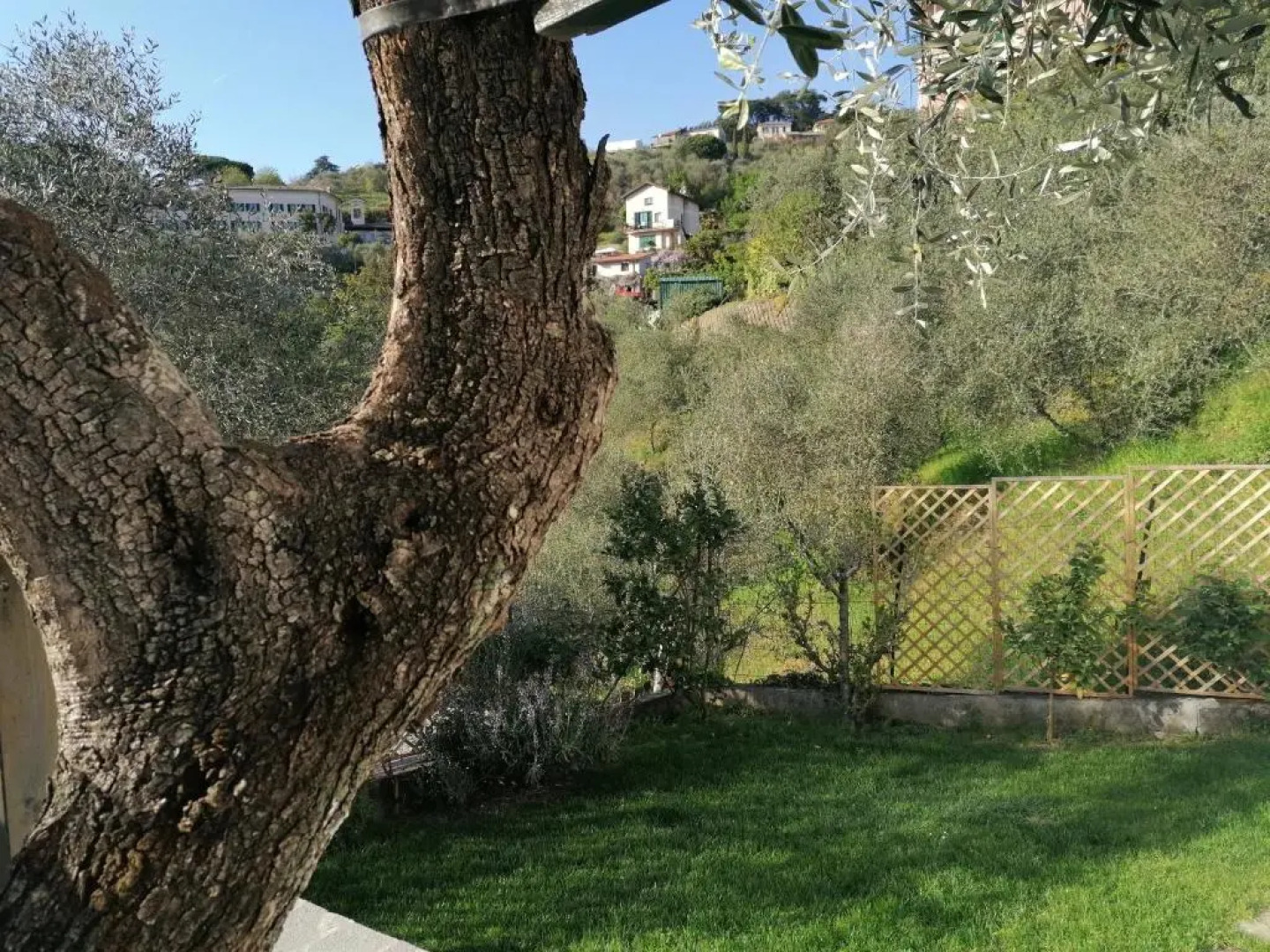 Nonna Paola Guest House