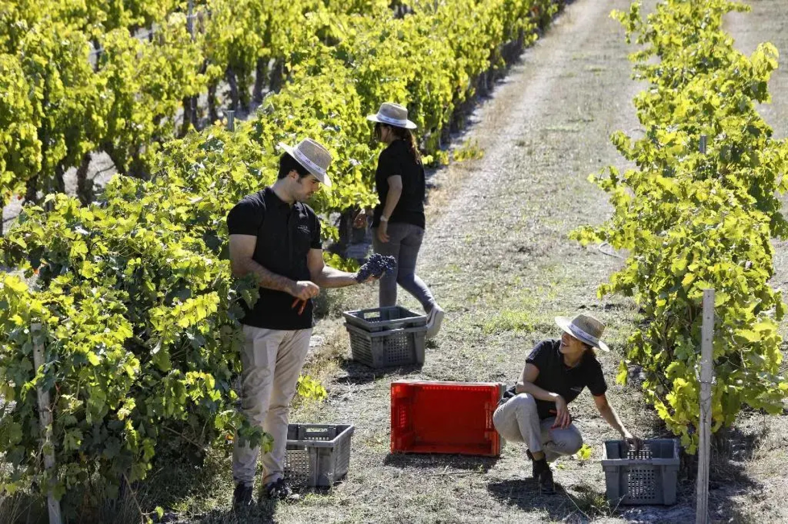 Abadia Retuerta Ledomaine