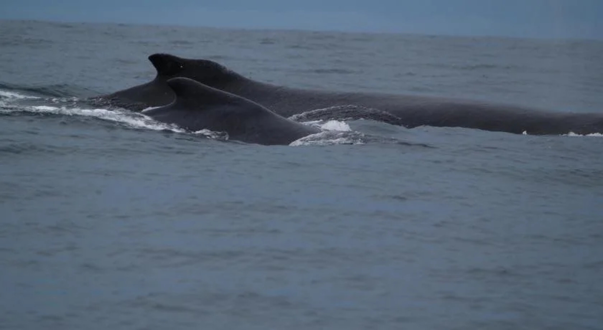 Hotel Bahía Yubarta
