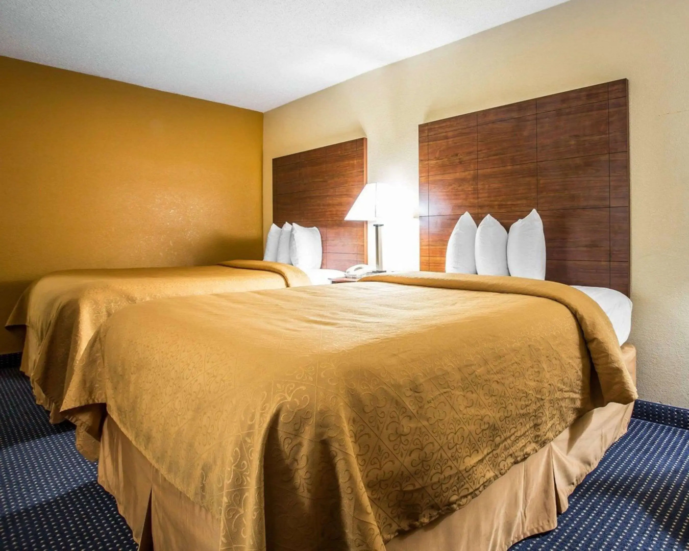 Quality Inn Mullins - Marion