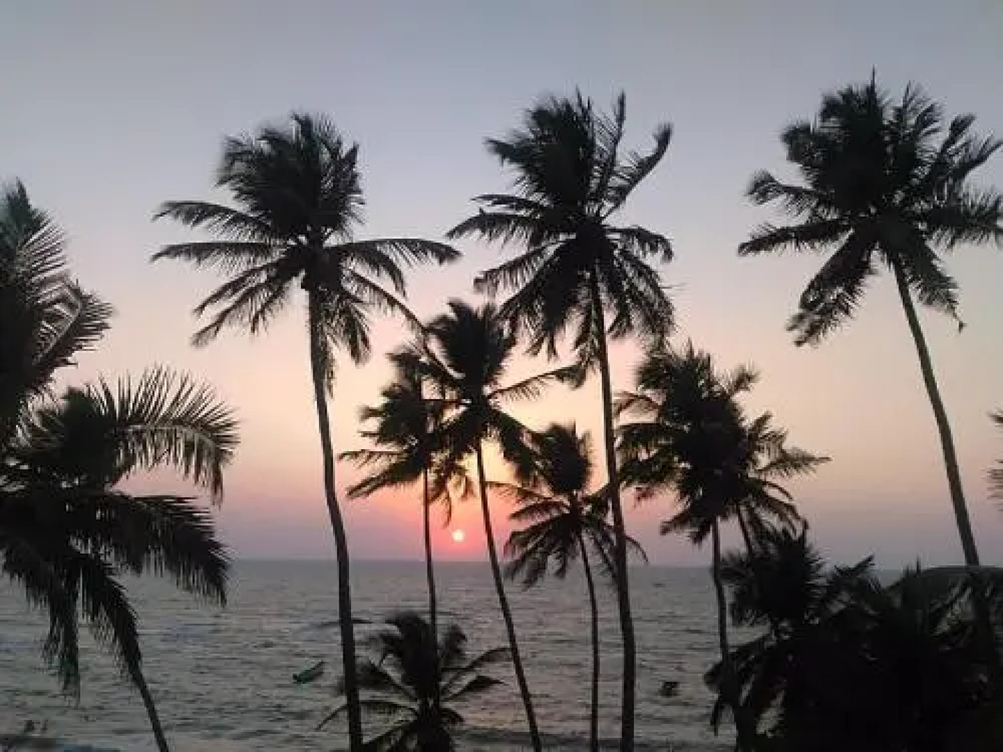 The Yuppi Hippi Female Hostel