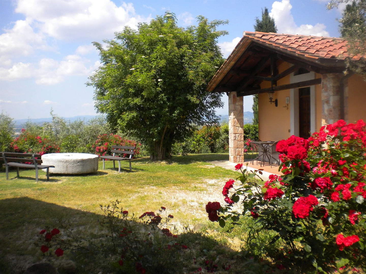 Agriturismo Poggio Degli Olivi - Guest House