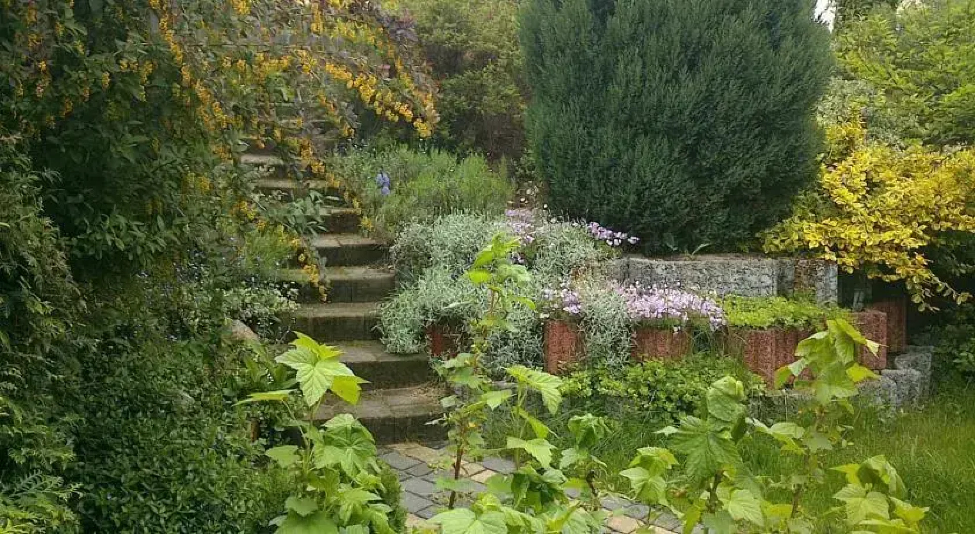 Domek Letniskowy Carpe Diem