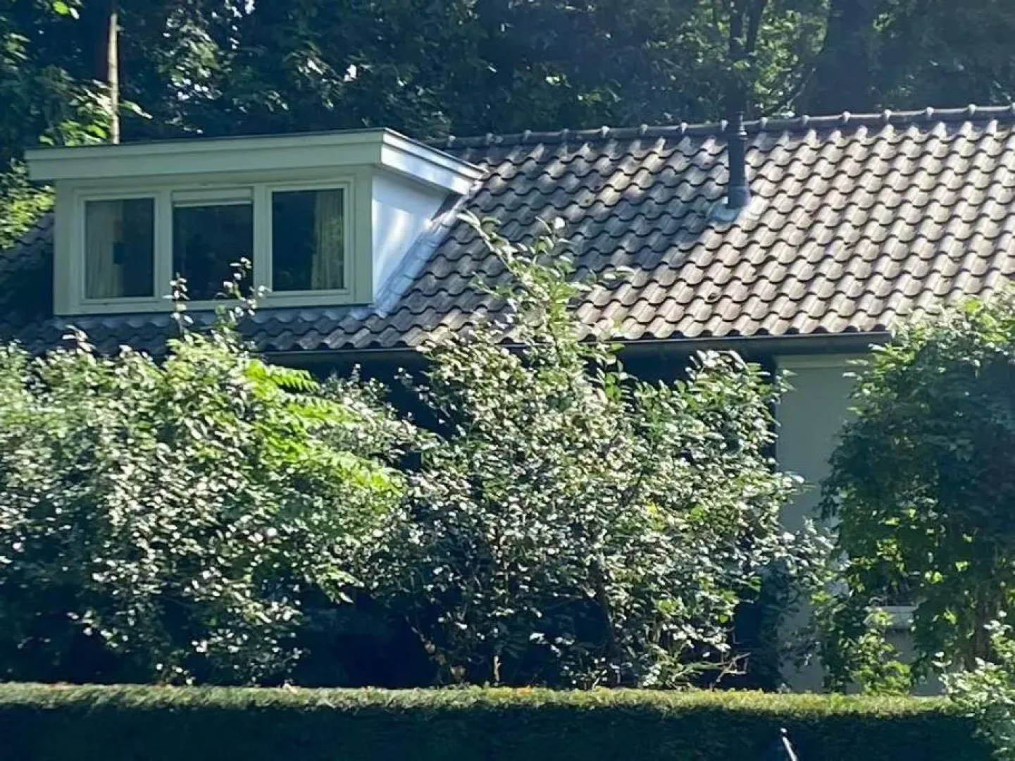 Duinhoek: Luxe studio, prachtig en rustig gelegen