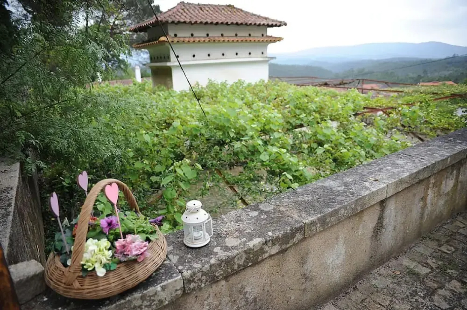 Vumba - The Gorongosa Suite