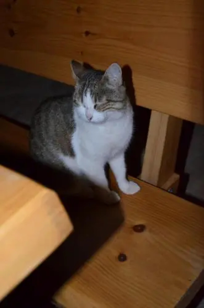 Apartmenthaus Sabine