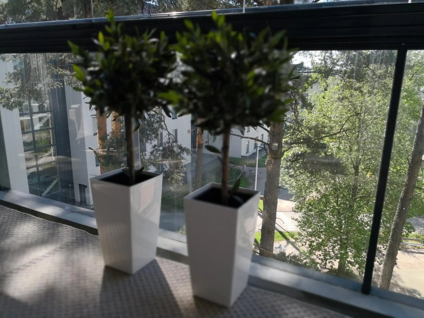 Charming Pine View Apartment