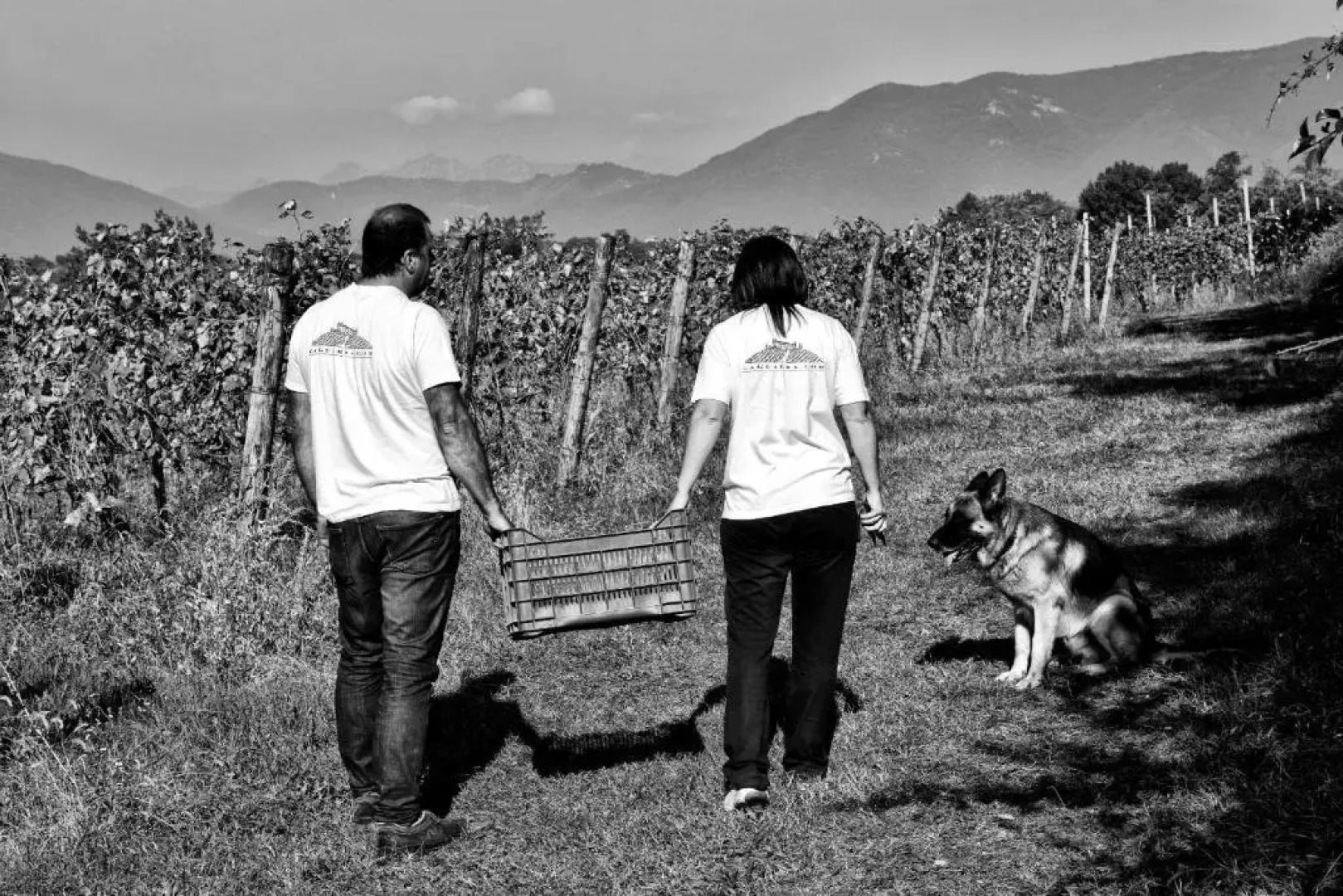 Agriturismo La Guarda