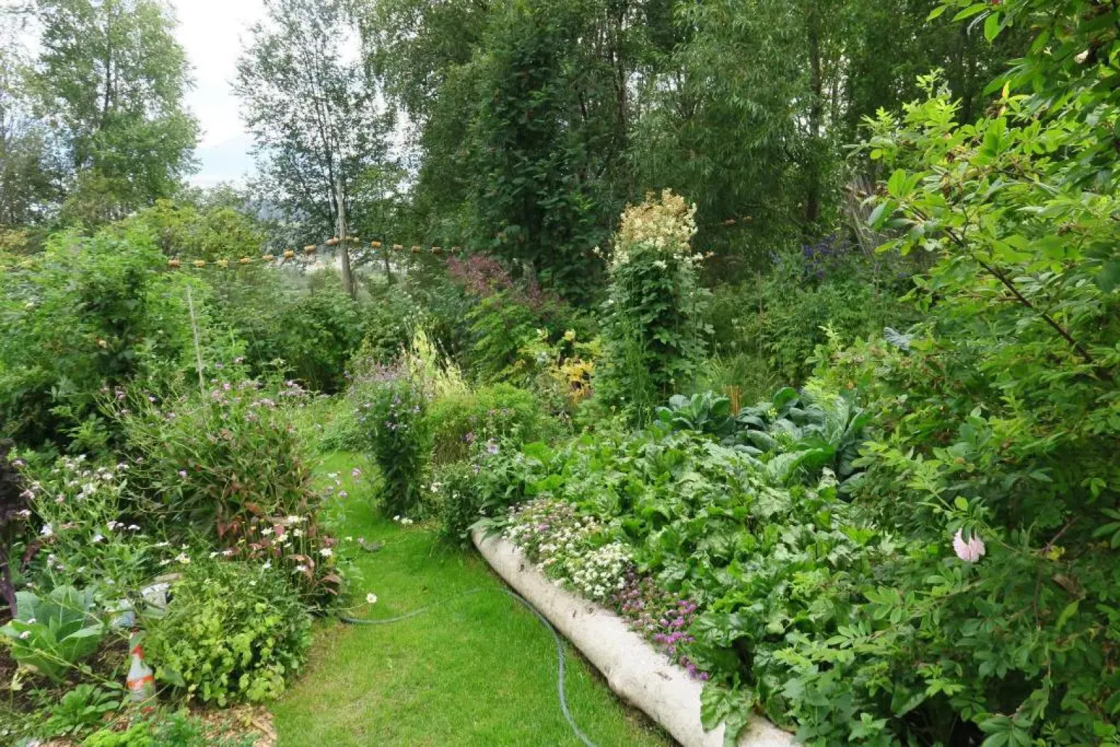 Brigitte's Bavarian Bed und Breakfast