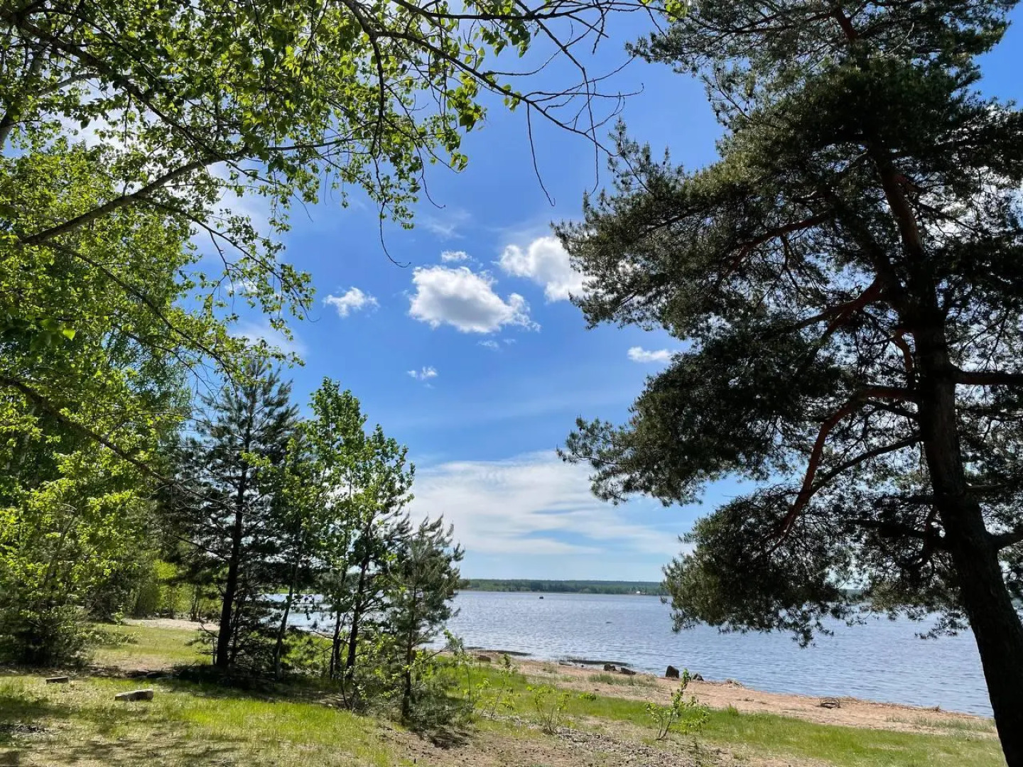 ЁЛКИ Глебычево