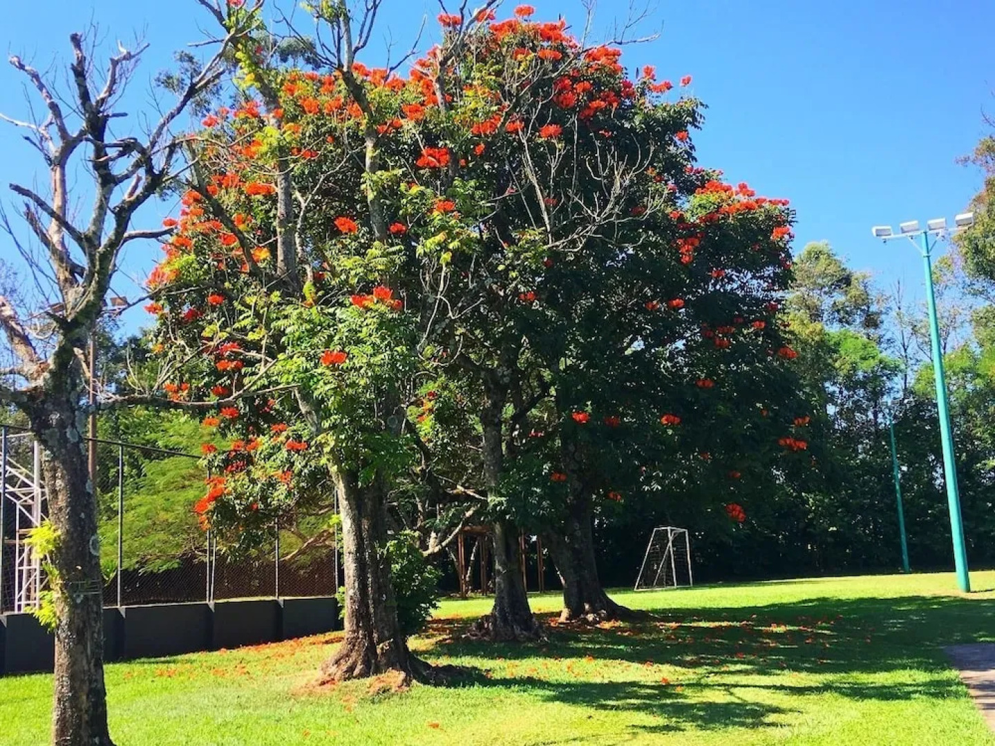 Olinda Hotel e Eventos