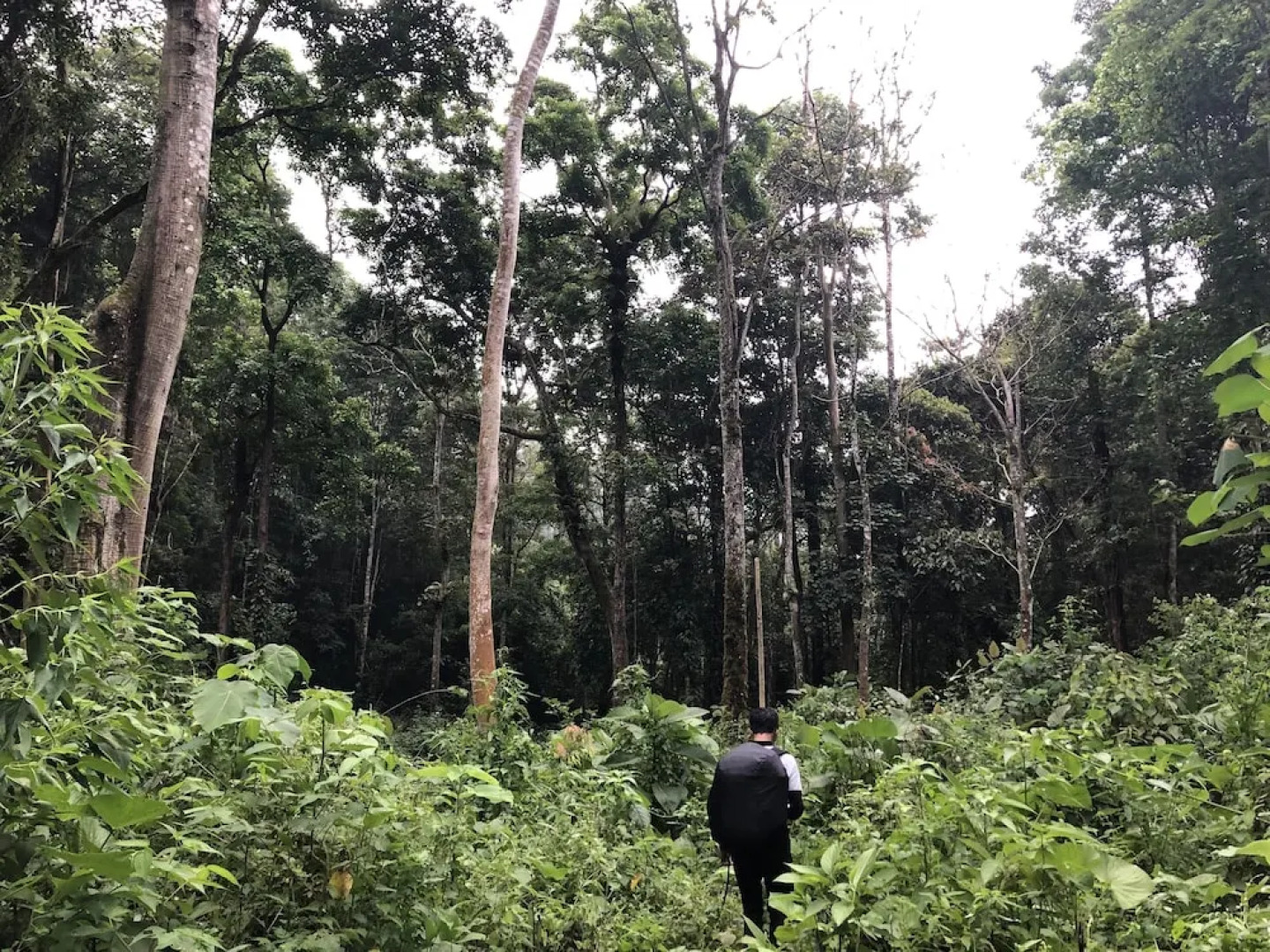 Swarga Lodge and Homestay