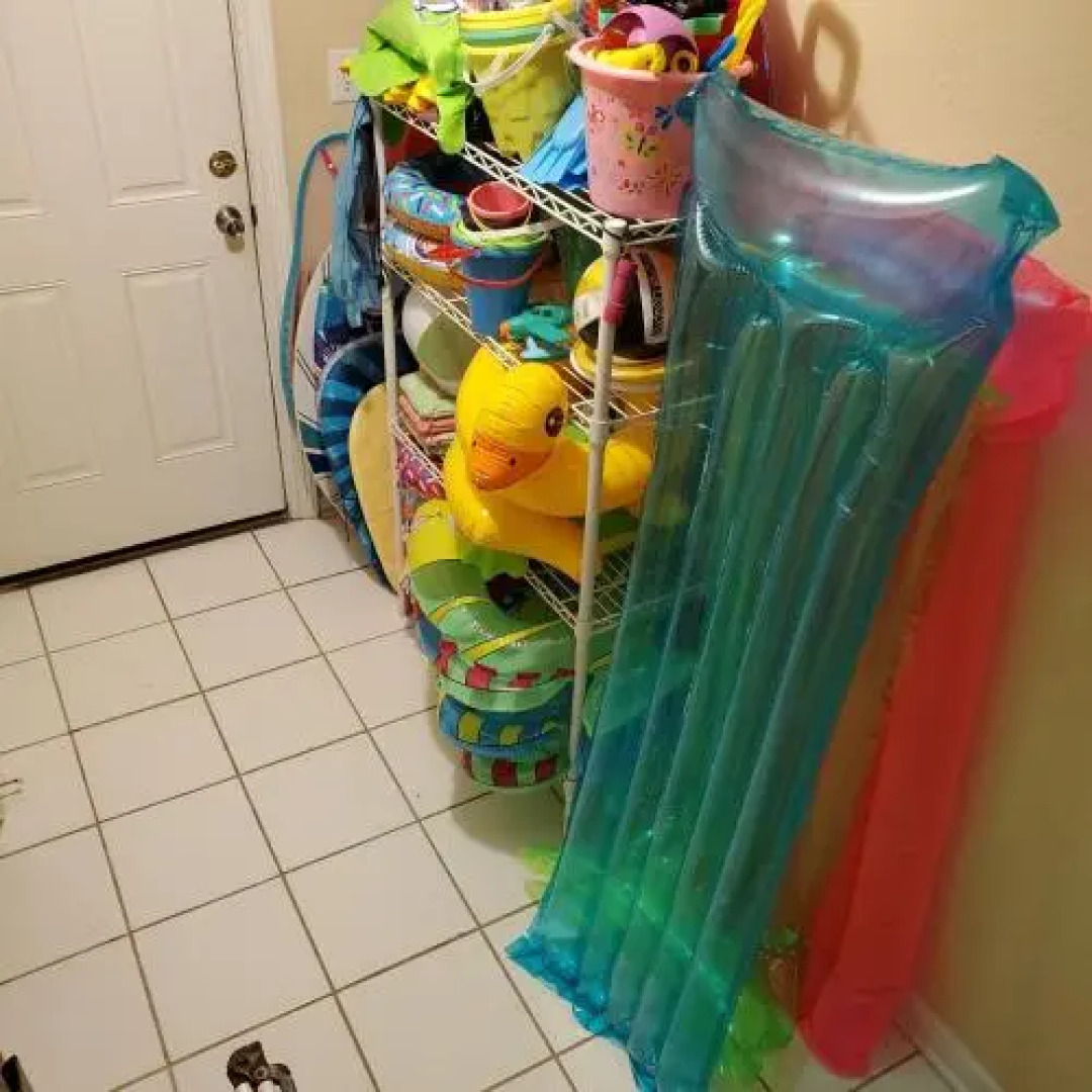 Shellchase by RedAwning