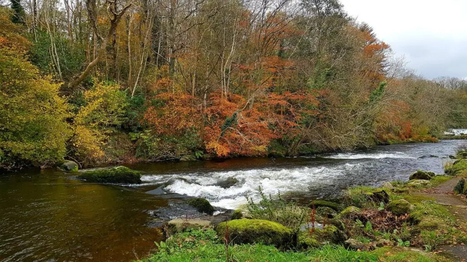 89 Lower Lakeside - Glan Gwna Holiday Park