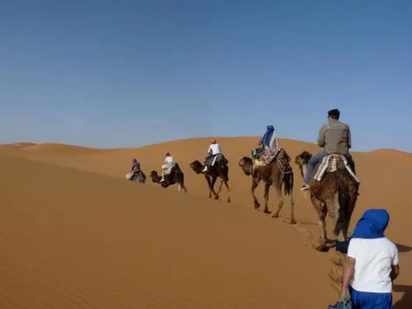 Maison Merzouga Guest House