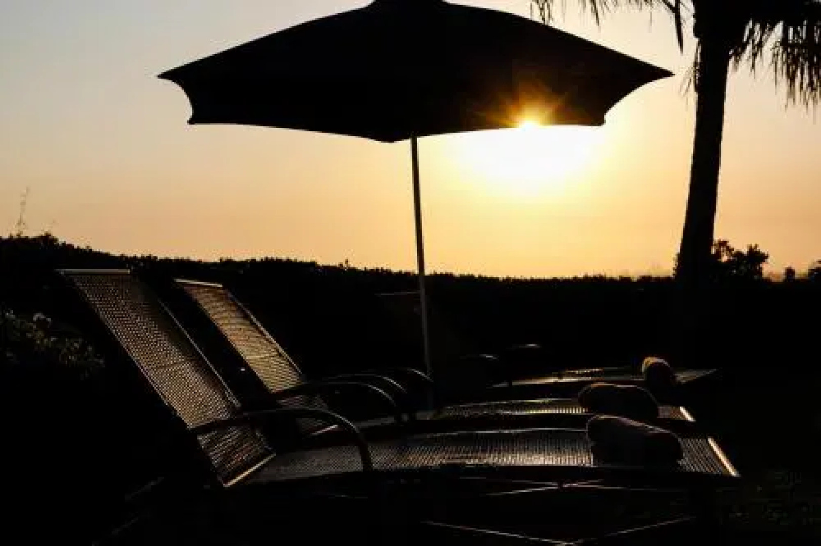 The Ridge Guesthouse