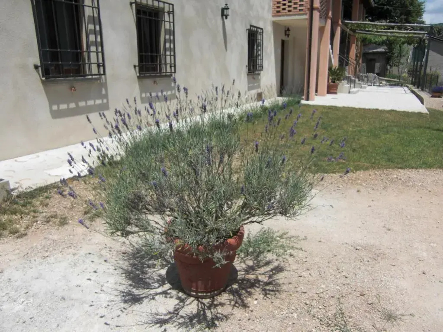 Il Giardino di Lavanda