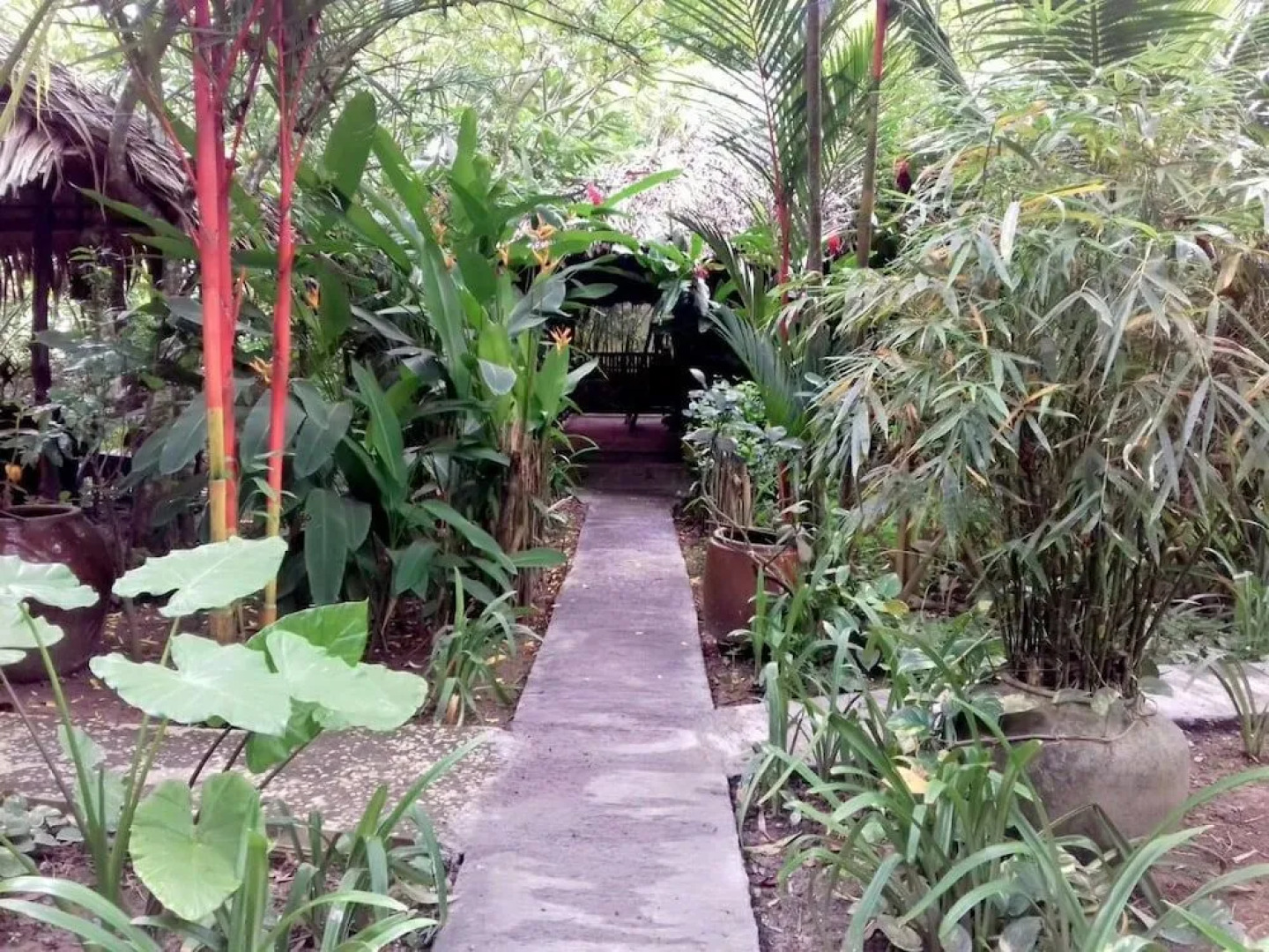 Jardin Du Mekong Homestay