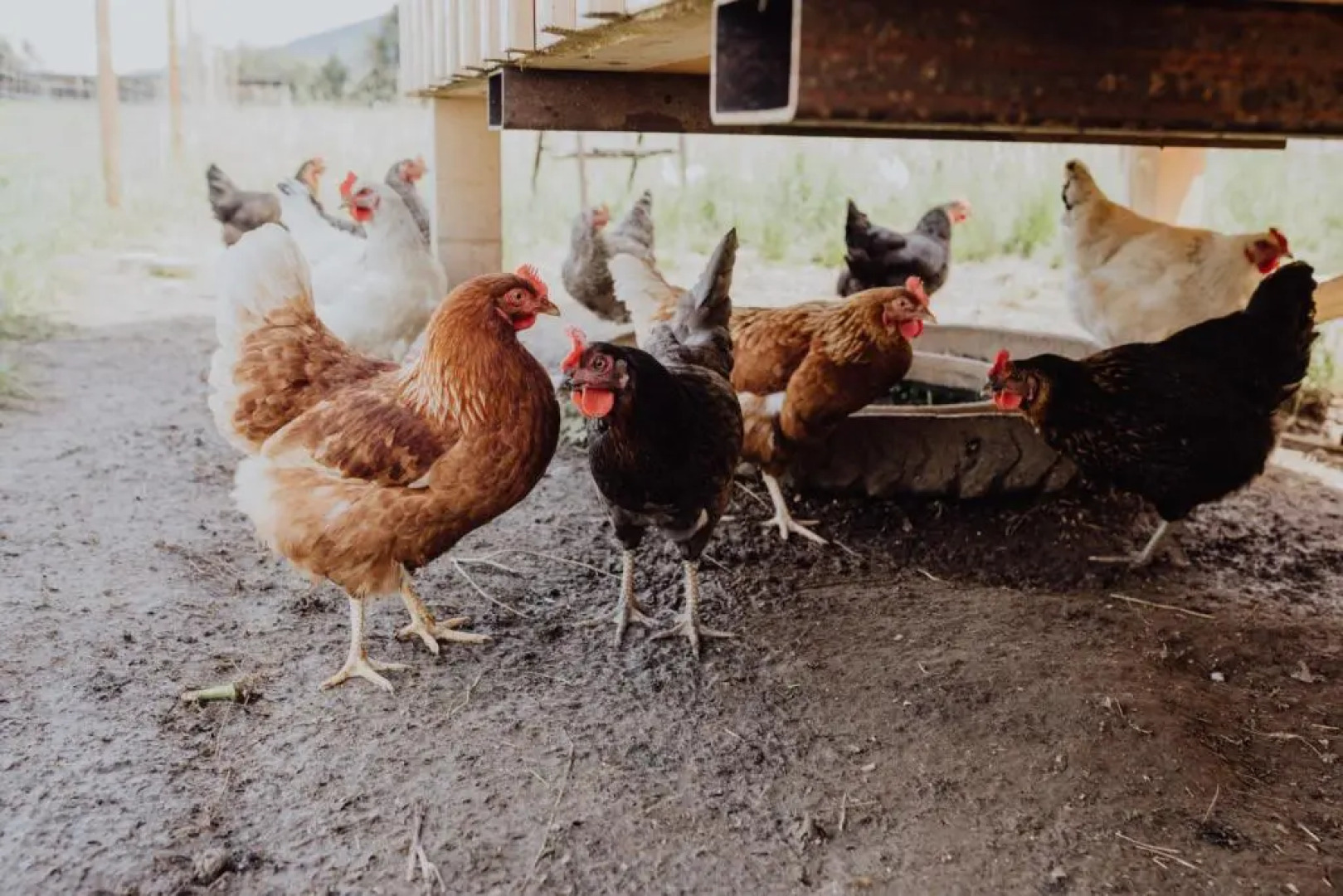 Panorama-Gasthof-Pension Leidingerhof
