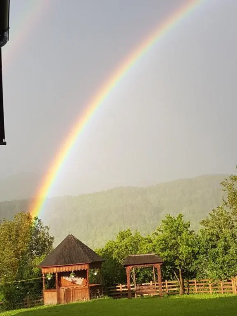 Pensiunea Teodora Teleptean