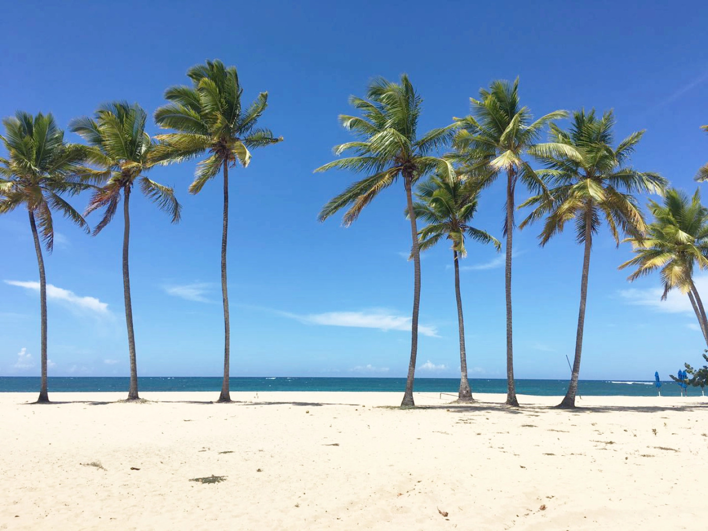 Emotions by Hodelpa Puerto Plata - All Inclusive