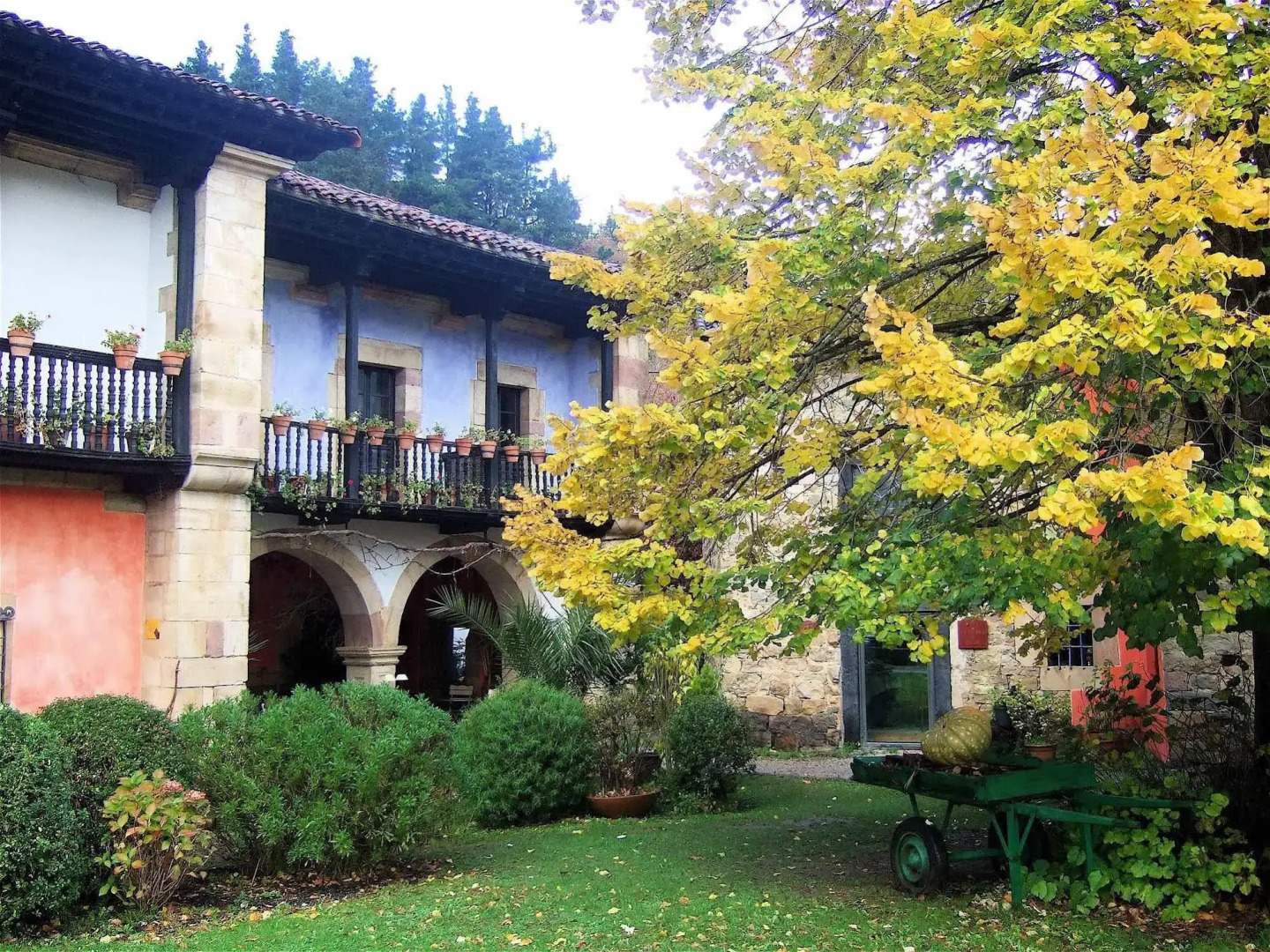 Camino Real de Selores