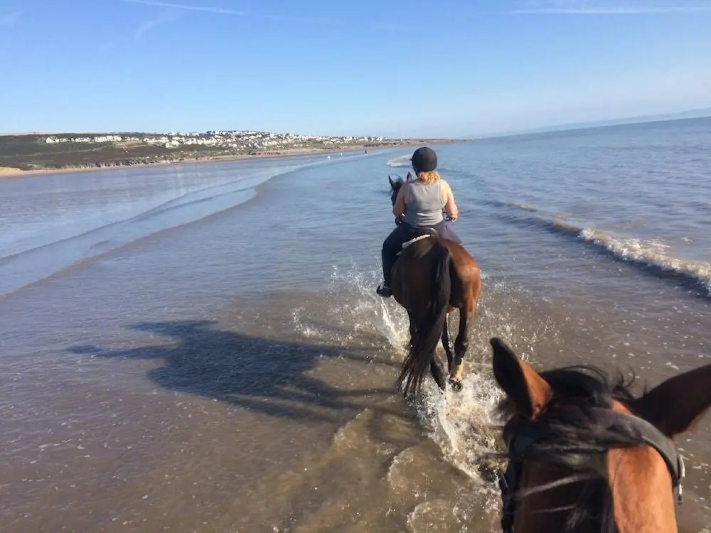 Farm stay chalet-The Paddock