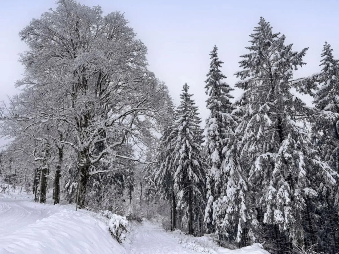 Apartment Carola Suhl