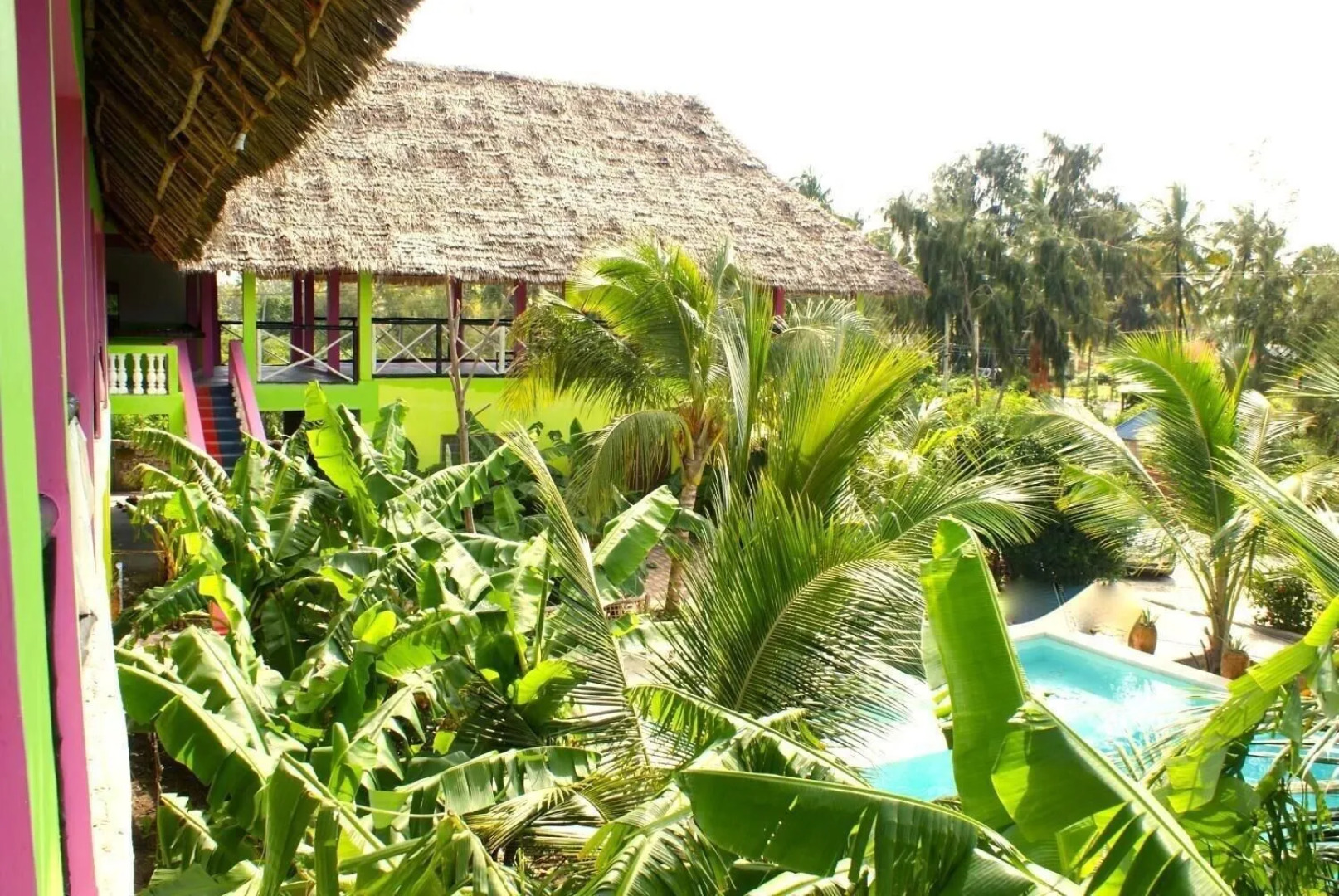 Simba Garden Lodge - Hostel