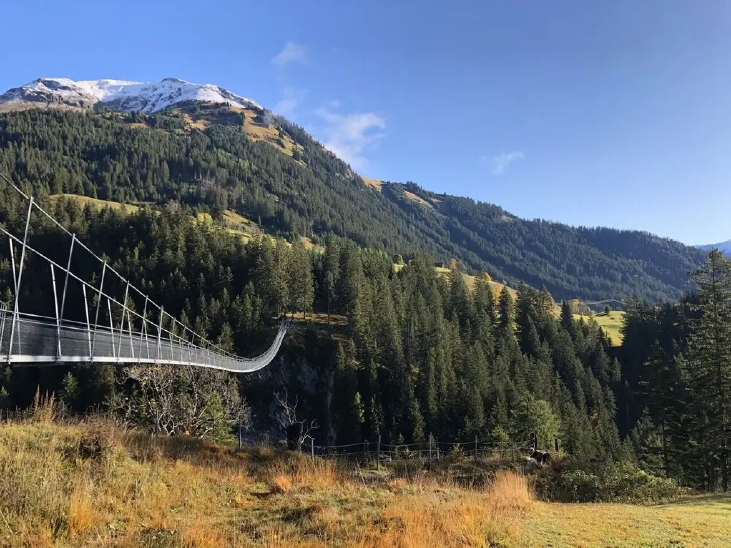 NATURPARKGUT - alpdeluxe Apartments
