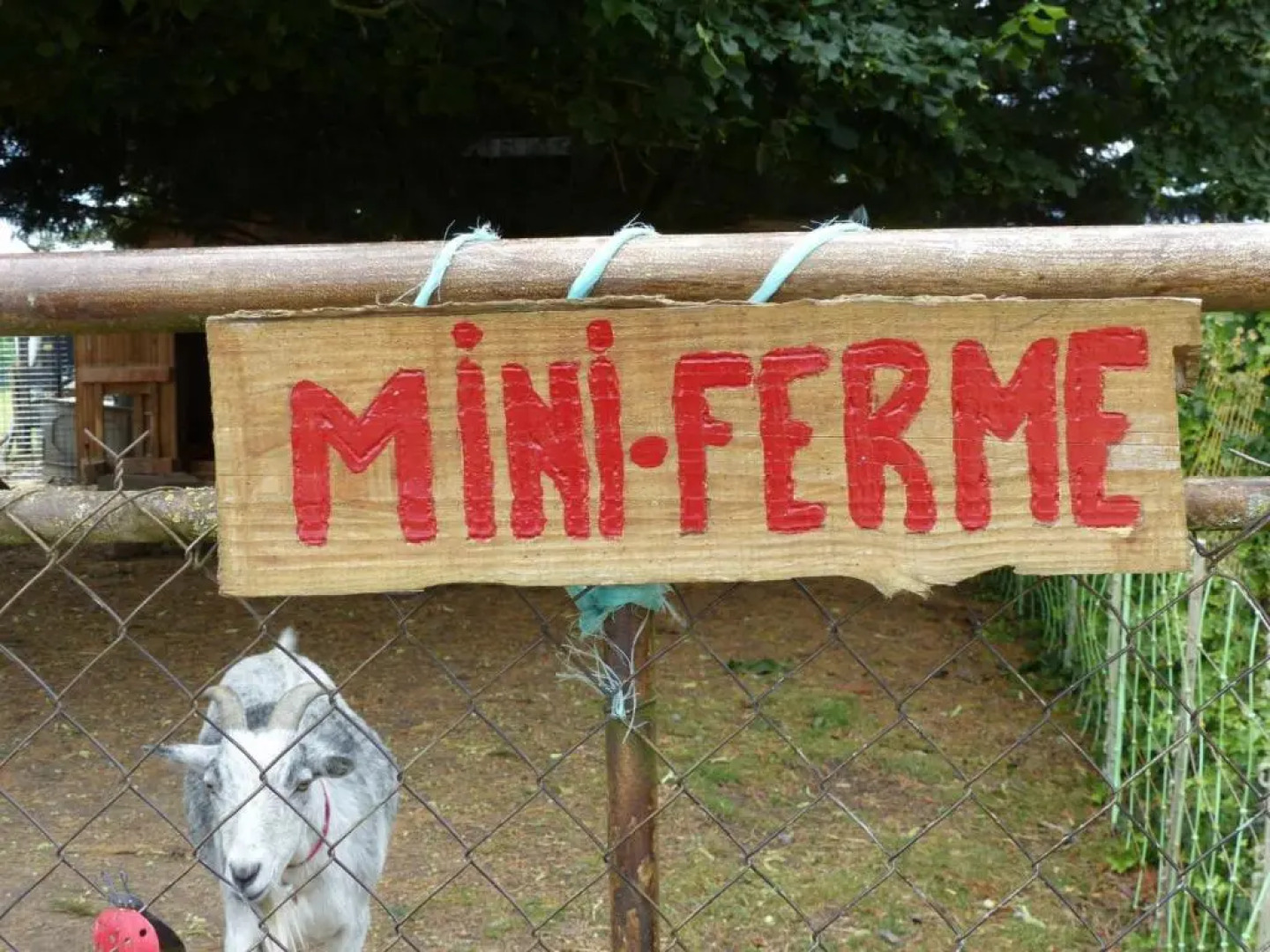 Gîte Saligny-sur-Roudon, 3 pièces, 5 personnes - FR-1-489-121