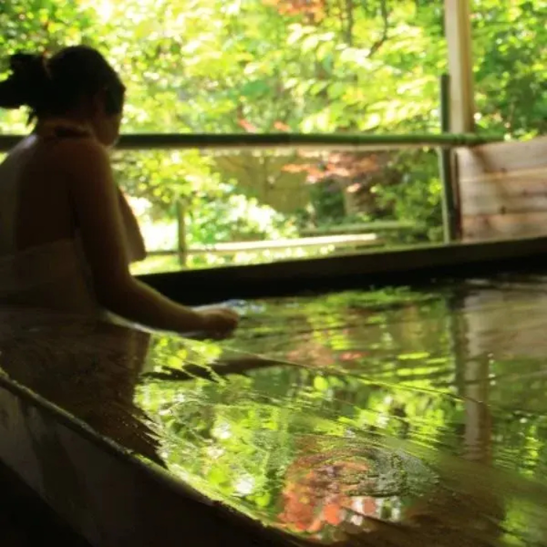 Iwasu Onsen Ryokan Iwasuso