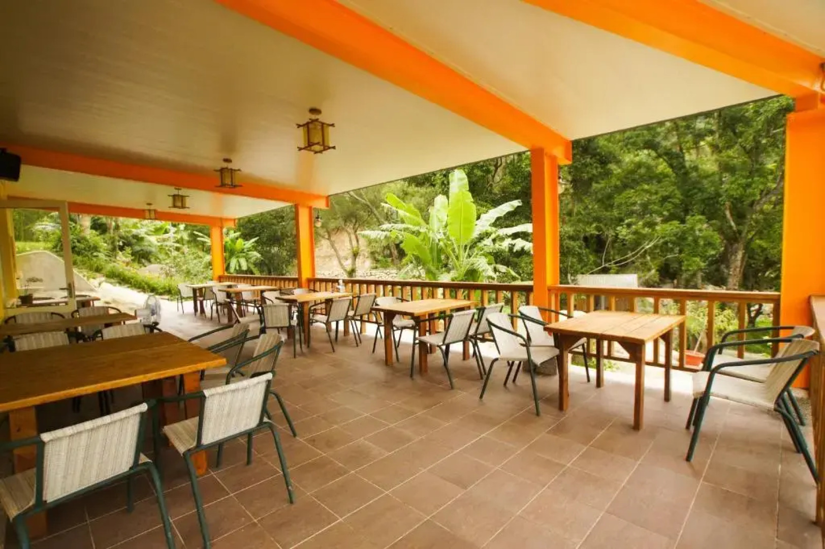 Hemerocallis Country House