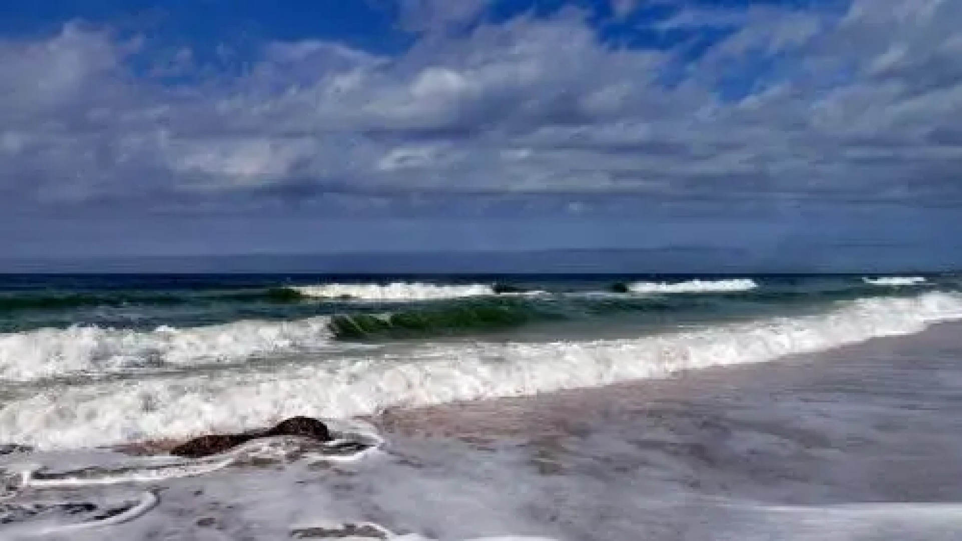 Beach Palms 102 Apartment