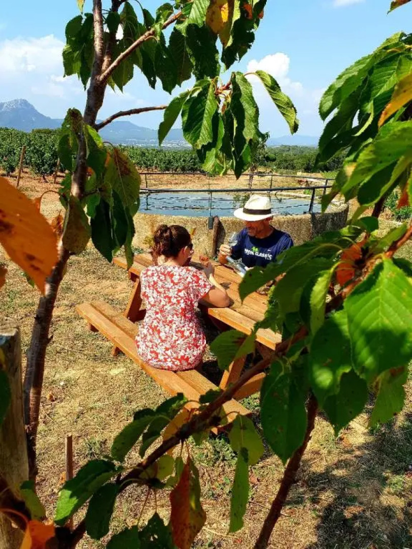 Domaine De La Navicelle - Syrah