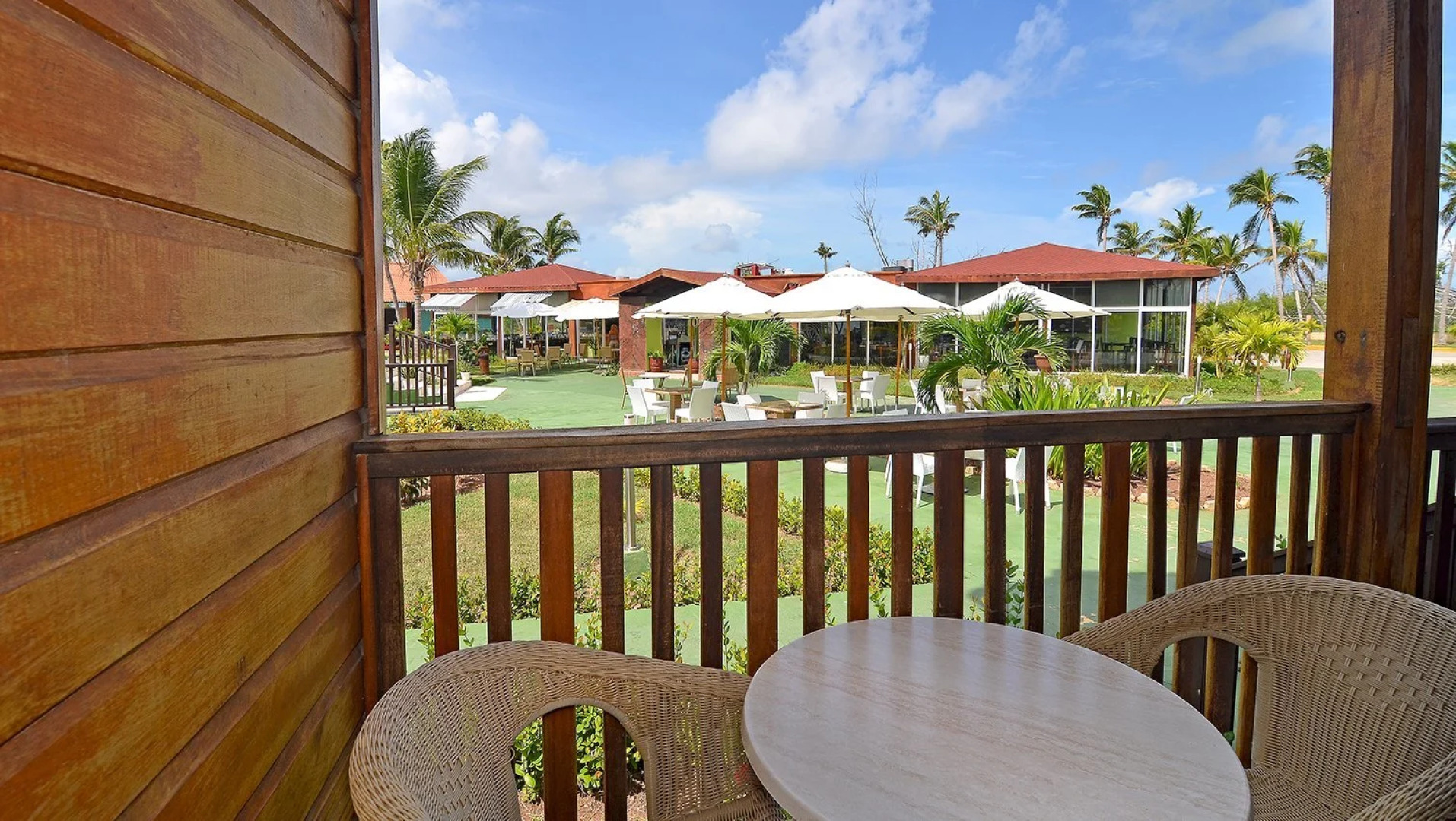 Starfish Cayo Guillermo