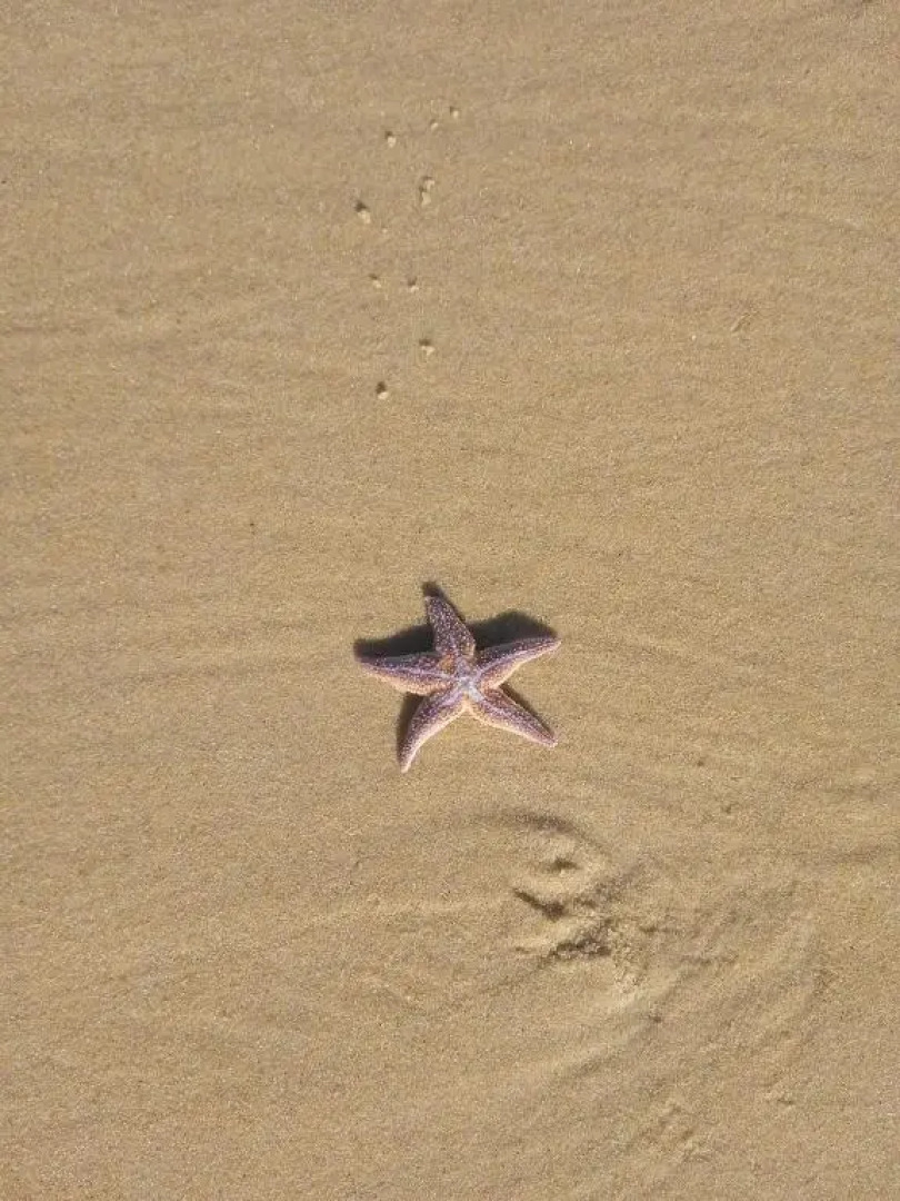 Charmante maison Landaise