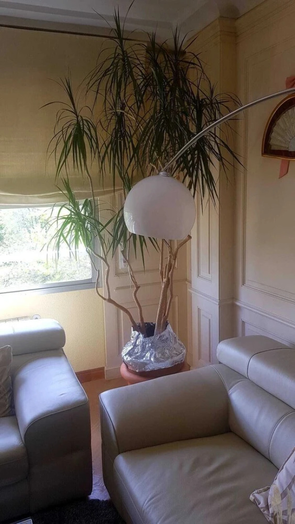 Modern B&B Somosaguas