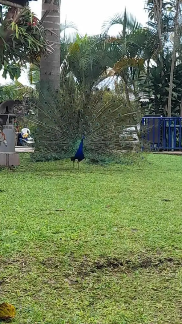 Finca Hotel La Perla