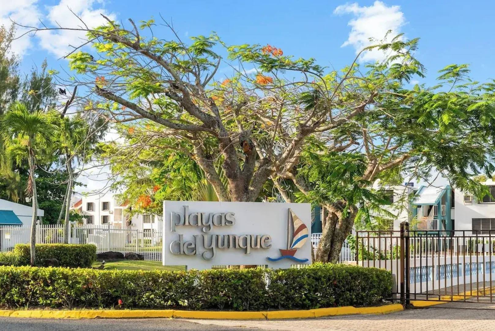 Playas Del Yunque Condo: Pool & Beach Access