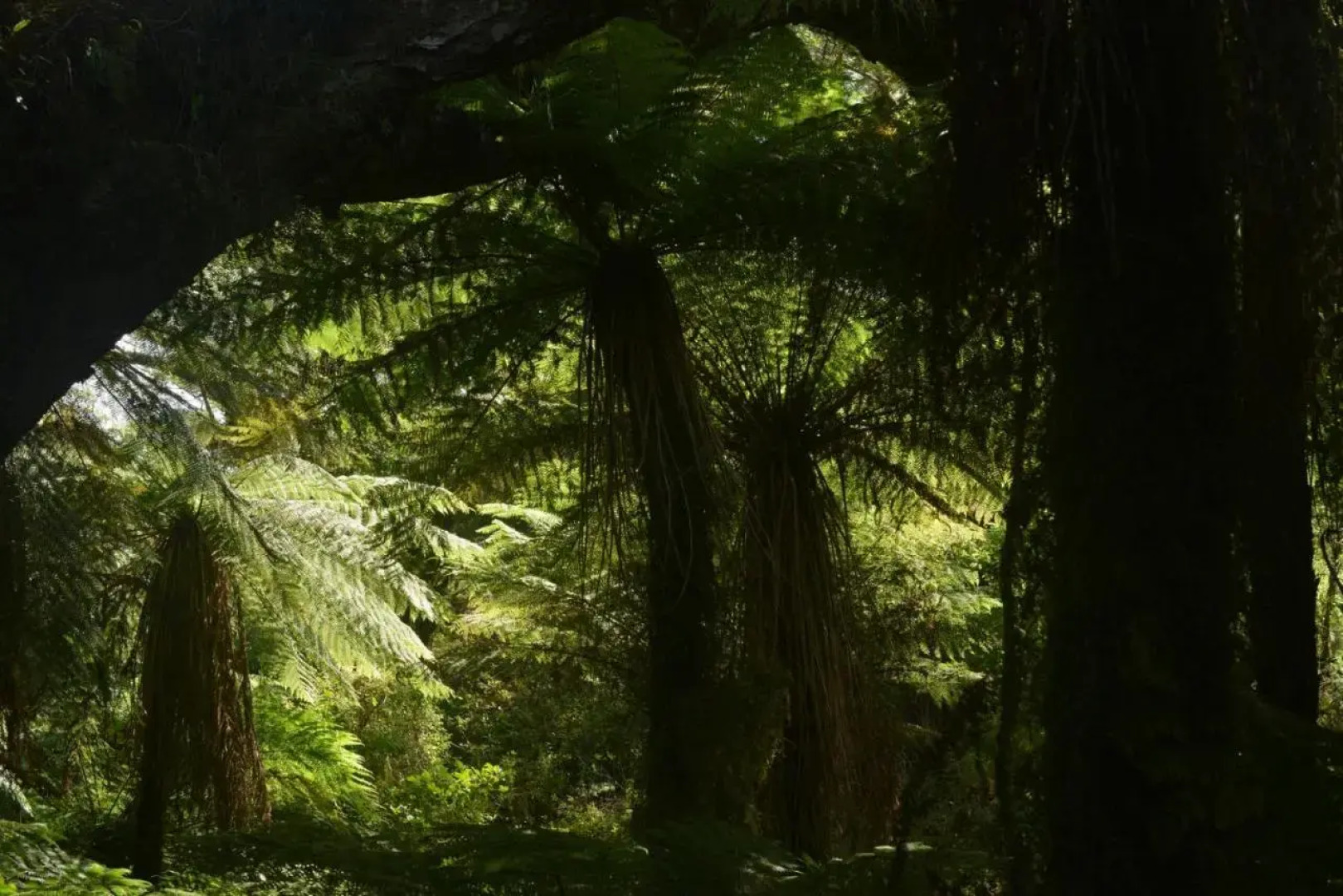 Wilderness Accommodation