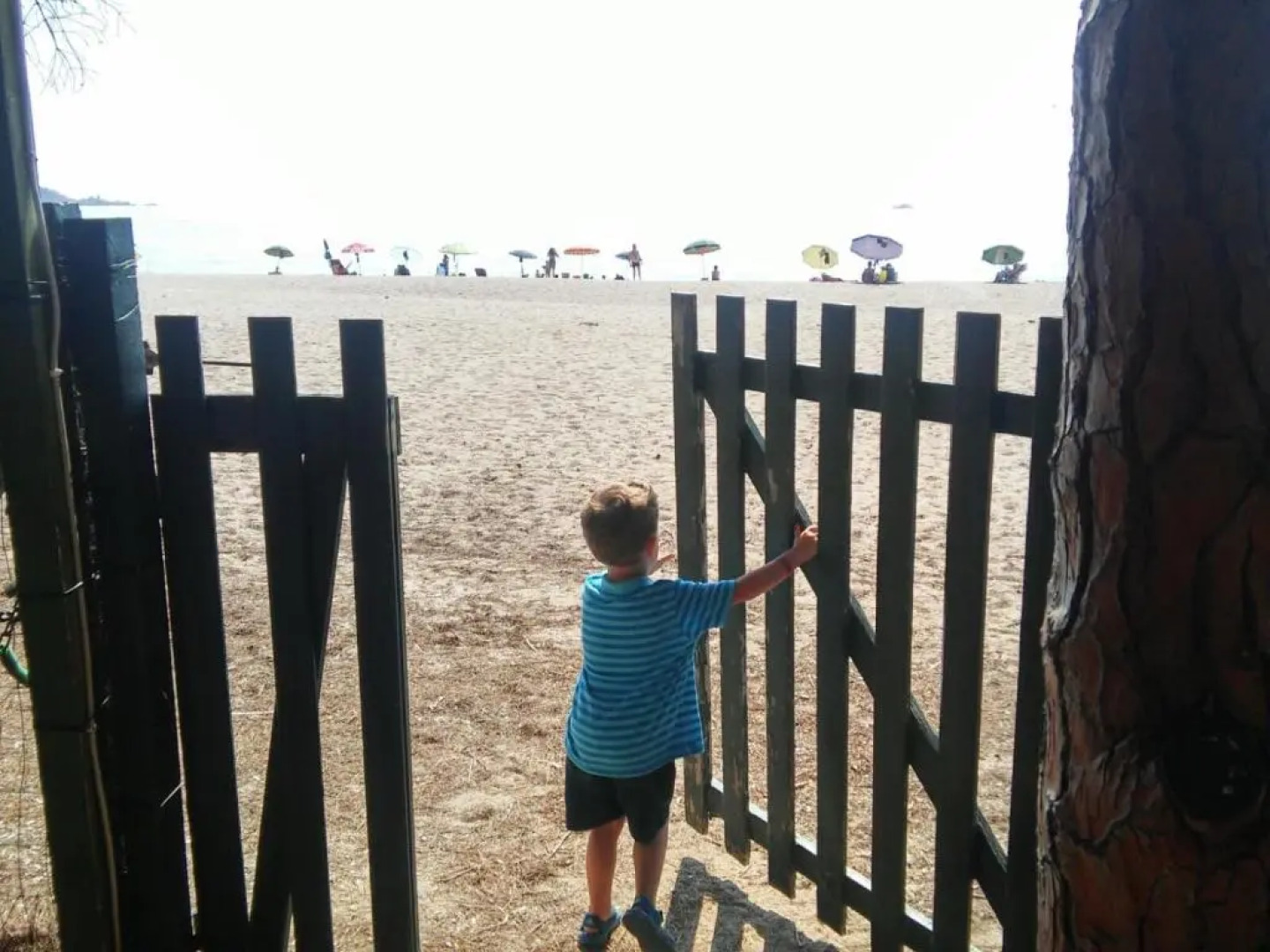 Happy Camp in Camping Iscrixedda