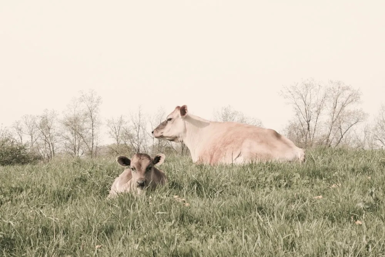 The Inn on Lake Champlain