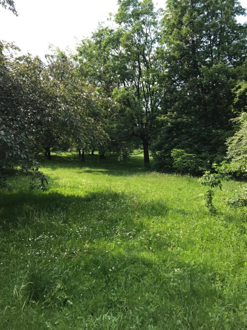 Royal Garden Apartment