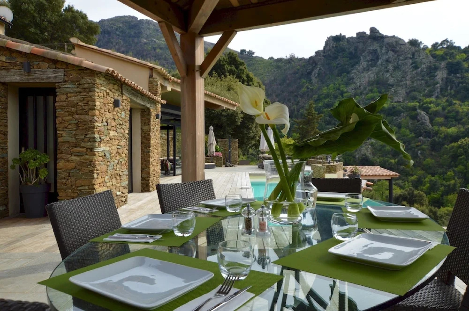 Villa piscine à débordement panorama