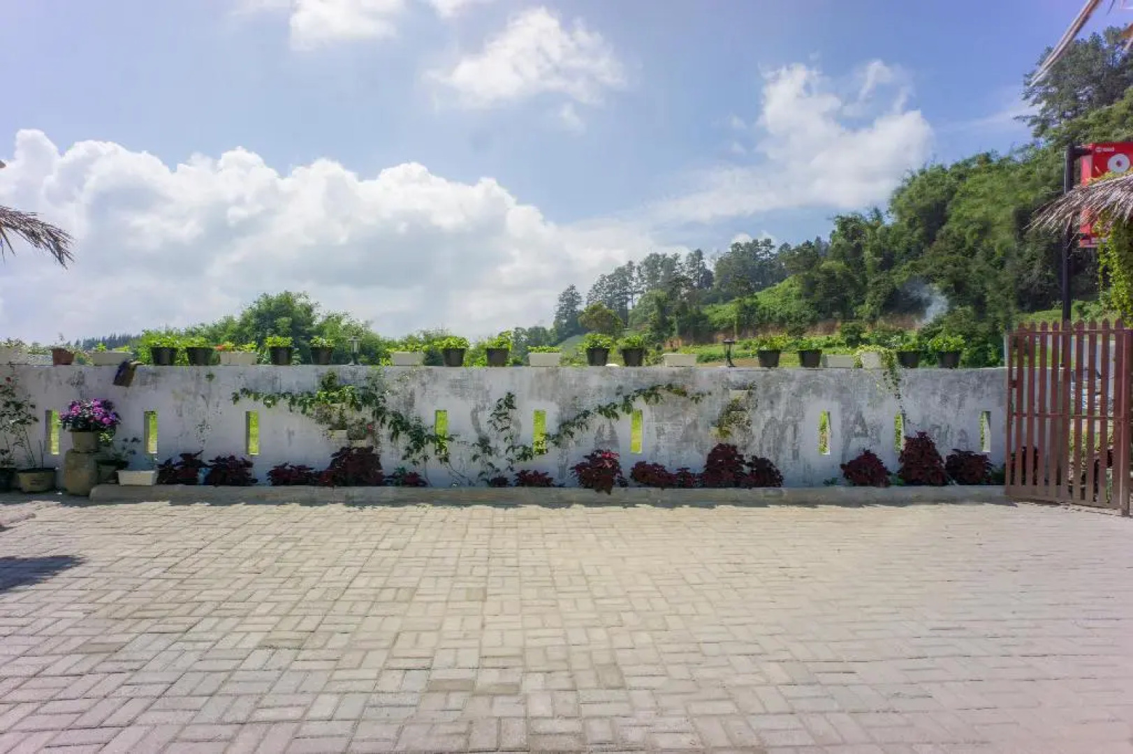 Super OYO 1696 Sapo Rumbia