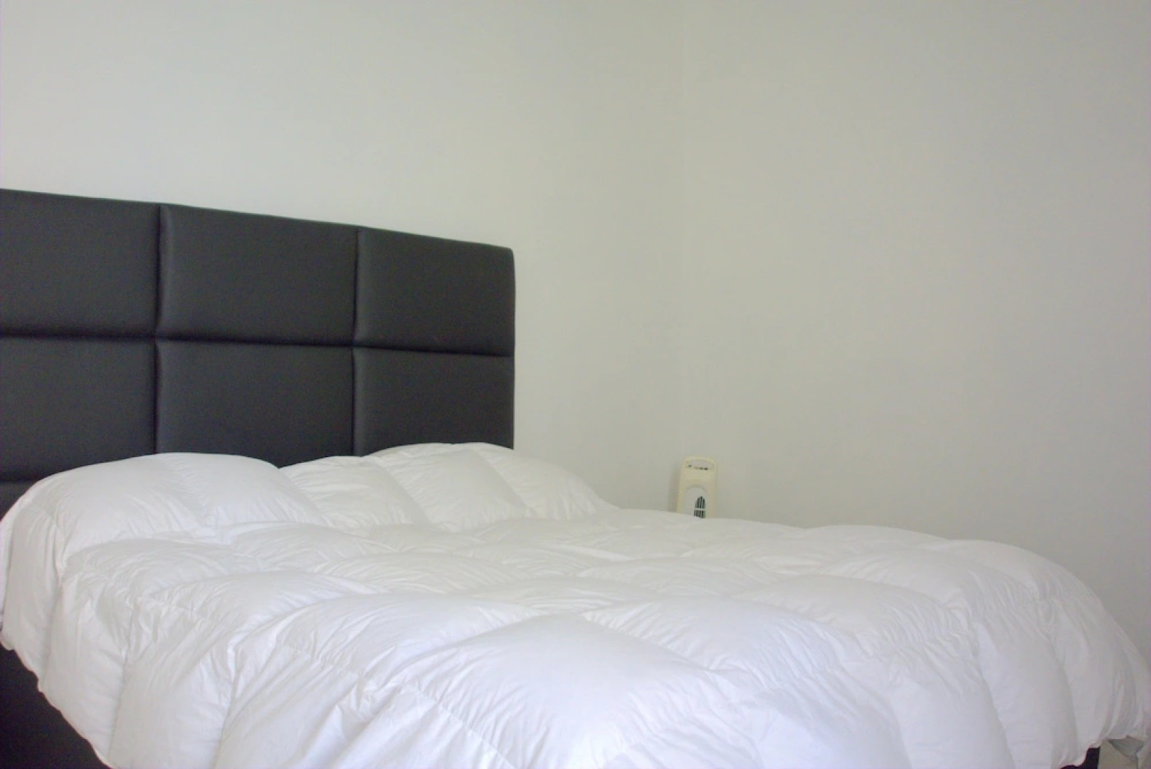 Monte Carlo Bordering