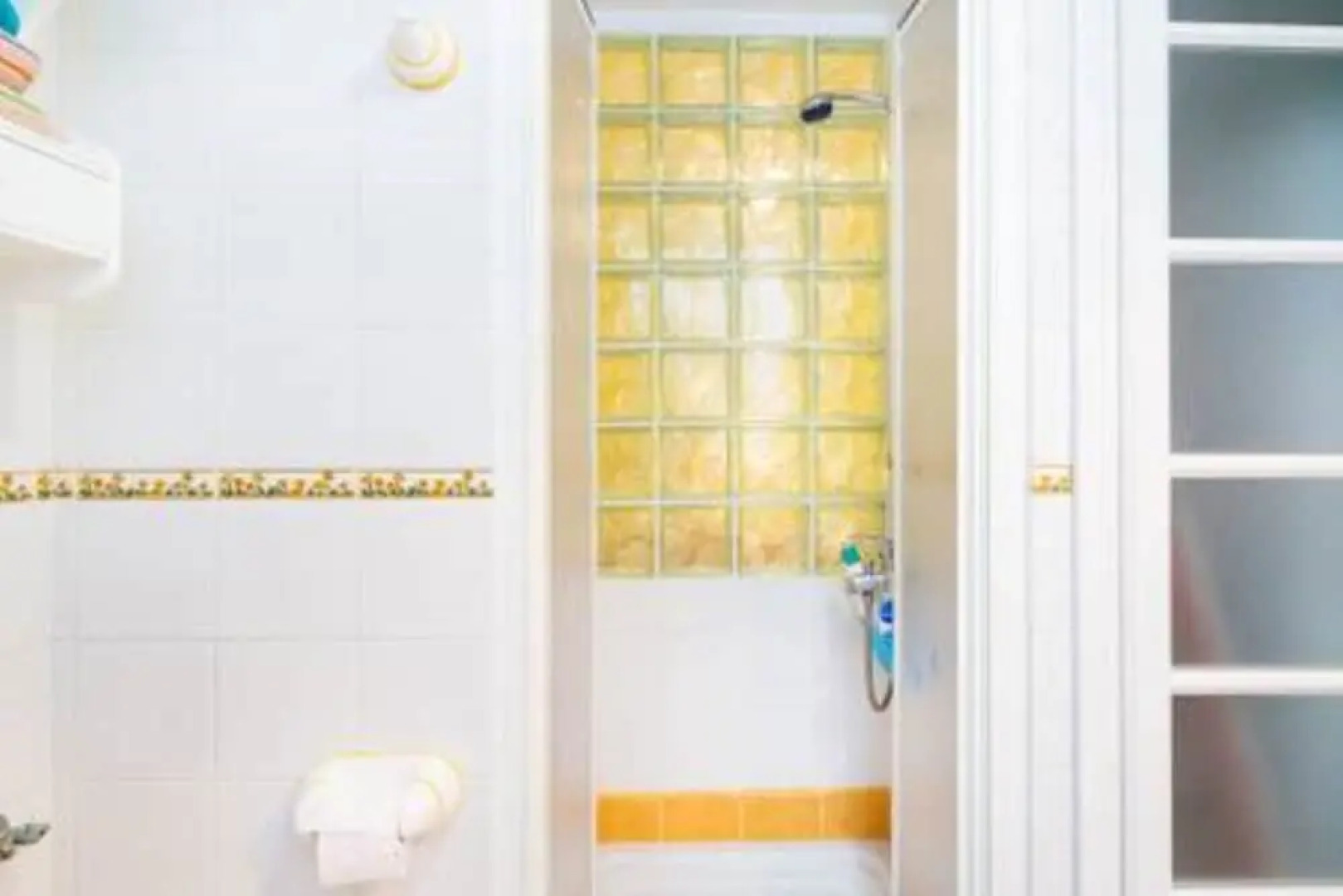 Sea Stars Las Canteras