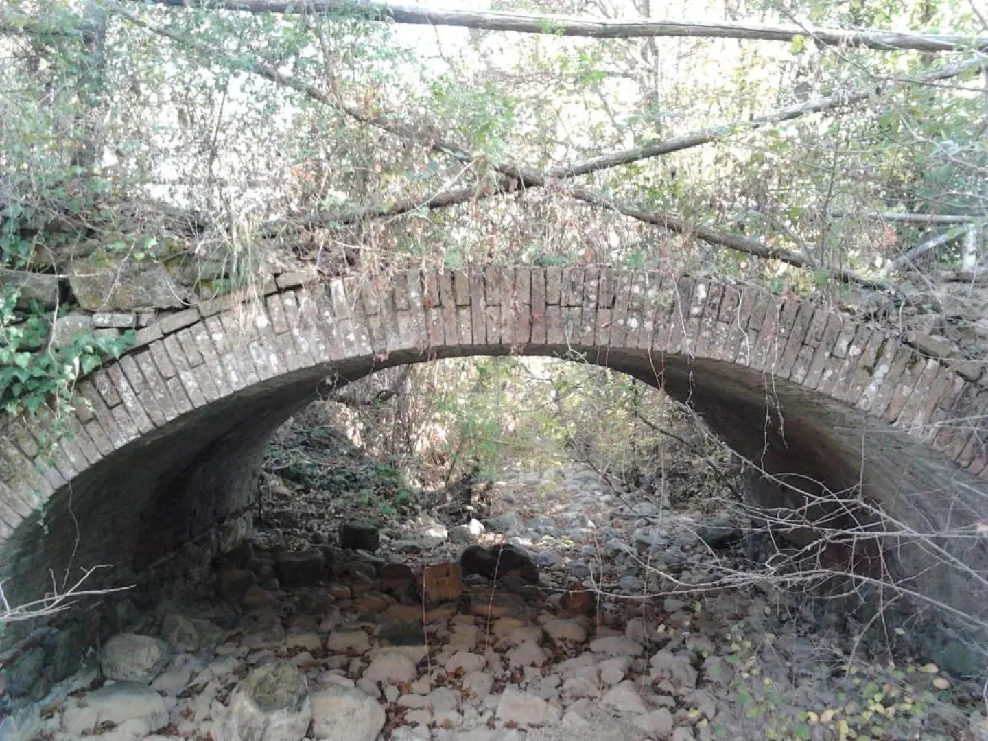 Azienda Agrituristica Cappellese