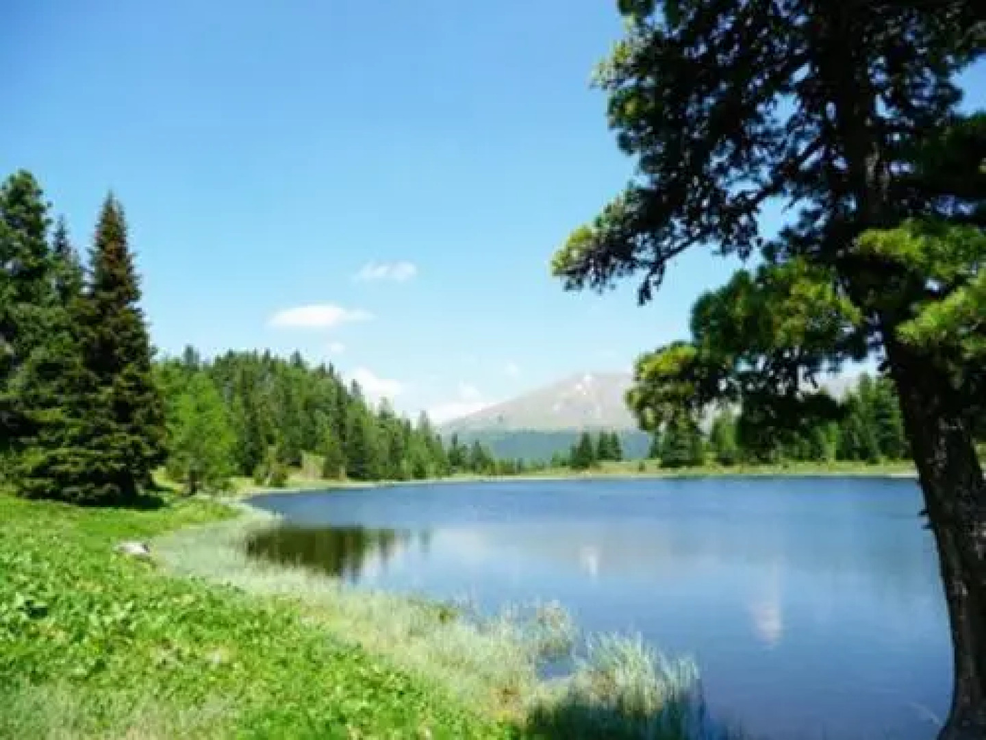 Haus Andreas - Ferienwohnungen